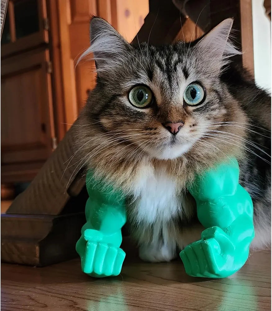 Funny Cat Muscle Arms