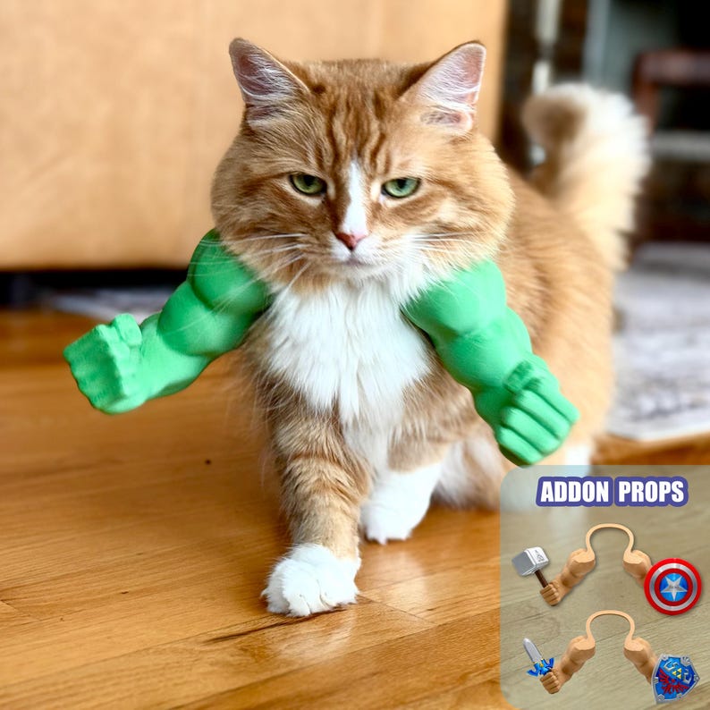 Funny Cat Muscle Arms
